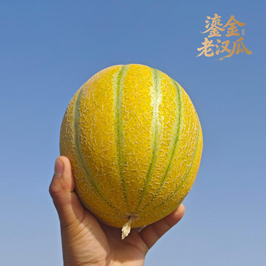 新疆金纹老汉瓜 入口即化冰淇淋口感 稀有戈壁蜜瓜 高糖爆汁 限定尝鲜 商品图4