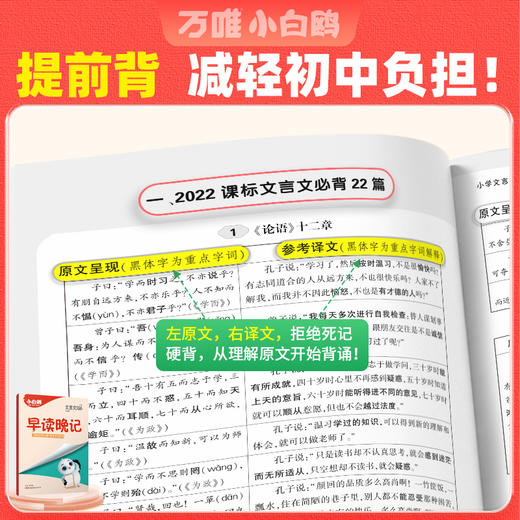 2027小白鸥星空小升初文言文186篇大全小学生必背文言文阅读训练全解全析同步教材四五六年级语文人教版小古文课外专项训练题 商品图4