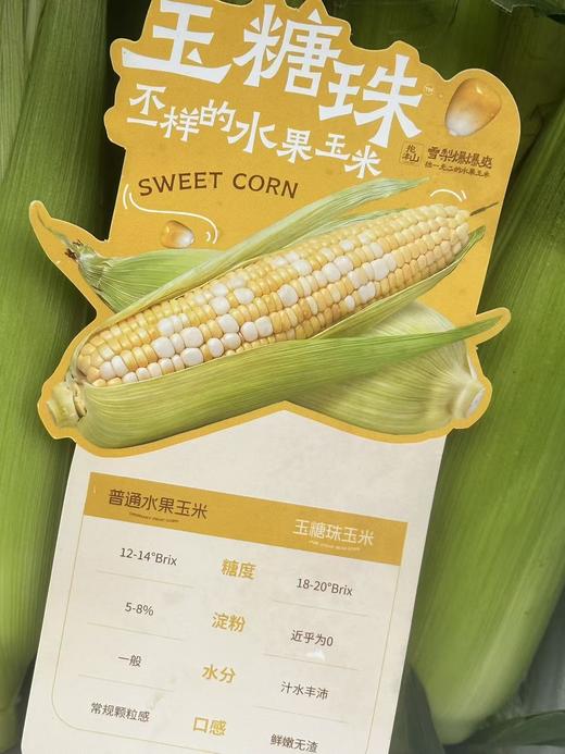 云南玉糖珠水果玉米；产自云南高海拔黄金产区，天生自带爆汁脆甜基因，皮薄无渣，糖度拉满，每一口都是大自然赋予的清甜暴击，不管是生吃，蒸制还是水煮，都能解锁不一样的鲜爽滋味，日常解馋，减脂代餐～ 商品图3