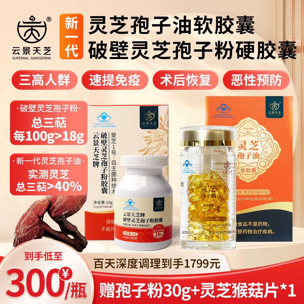 【6周年特惠X新品上市】灵芝三萜含量超高!云景天芝牌破壁灵芝孢子粉30g/盒·灵芝孢子粉硬胶囊60粒/盒·灵芝孢子油软胶囊80粒/盒·云南高原灵芝栽培基地(顺丰包邮)