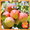 【预订】密云新鲜香白杏3斤 自然树熟杏子 时令水果 杏香浓郁 酸甜可口杏 商品缩略图0