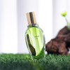 窄门 返璞归真 苔藓森林 Lapot studio Moss Forest 分装 商品缩略图4