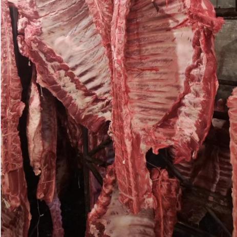 【YMHR】带颈椎排骨  新鲜多肉 商品图1