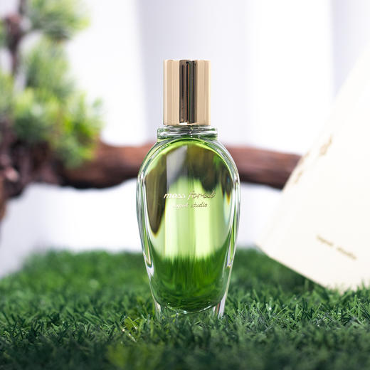 窄门 返璞归真 苔藓森林 Lapot studio Moss Forest 分装 商品图5