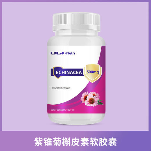 华大营养紫锥菊 商品图2
