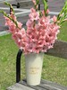 粉色剑兰阿迪娜80CM10支 商品缩略图3