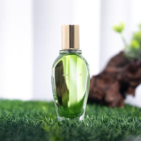 窄门 返璞归真 苔藓森林 Lapot studio Moss Forest 分装