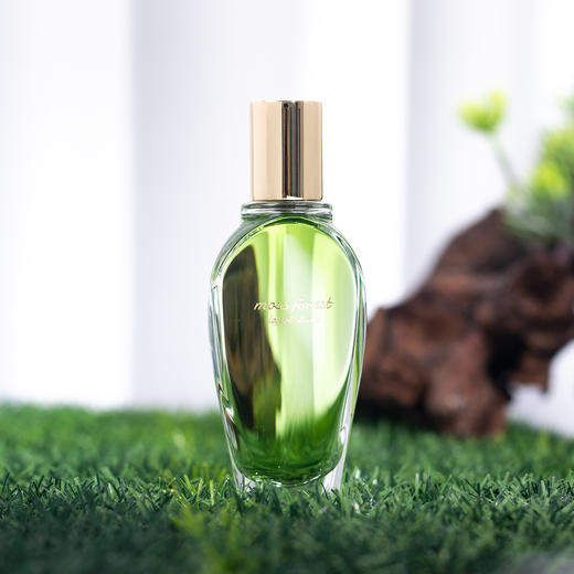 窄门 返璞归真 苔藓森林 Lapot studio Moss Forest 分装 商品图0