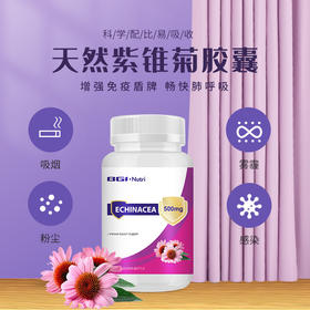 华大营养紫锥菊
