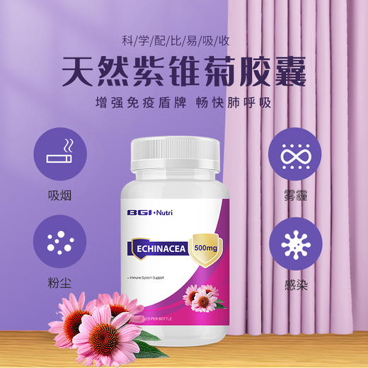 华大营养紫锥菊 商品图0
