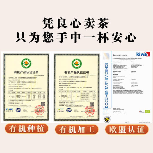 天蒙药谷 有机皇菊 6.25（15包）/盒 商品图4
