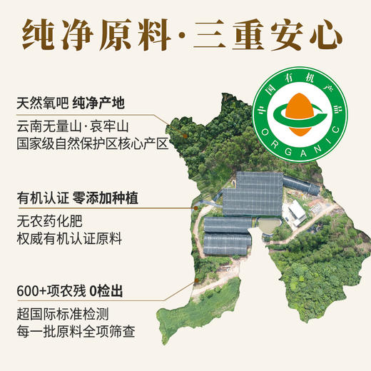 【6周年特惠X新品上市】灵芝三萜含量超高!云景天芝牌破壁灵芝孢子粉30g/盒·灵芝孢子粉硬胶囊60粒/盒·灵芝孢子油软胶囊80粒/盒·云南高原灵芝栽培基地(顺丰包邮) 商品图7