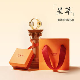 万事利丝巾扣-星萃