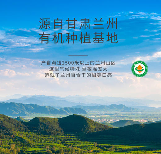 有机百合干 粉糯易煮  拒绝熏硫 煲汤甜汤煮粥好食材 商品图3