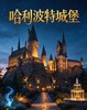 6.19-6.20端午-霍格沃茨魔法集结令·小小巫师奇幻之旅2天1夜亲子营：魔法集结·巫师换装+魔药秘境·魔法药水DIY+魔杖锻造·咒语研习工坊+寻找魔法徽章+霍格沃茨西餐+冰与火魔法秀…… 商品缩略图9