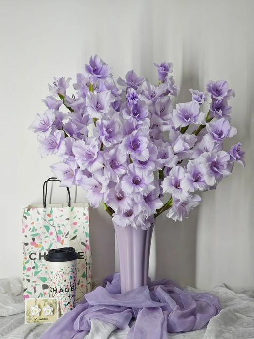 香芋紫剑兰80CM10支 商品图5