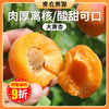 【预订】密云山区黄杏3斤 自然树熟  新鲜现摘  果肉饱满  酸甜可口 商品缩略图0