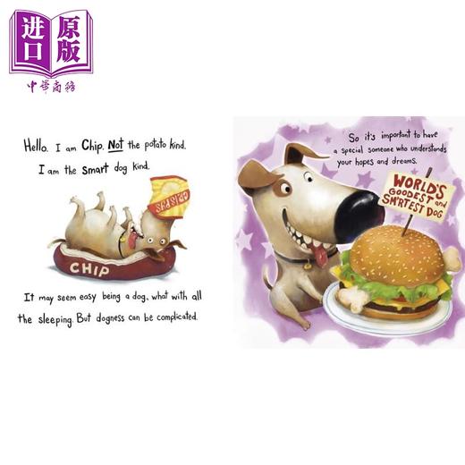 预售 【中商原版】小狗奇普的人生课程 Don't Lose Mr. Cuddles 英文原版 儿童绘本 亲子图画书温馨故事 进口童书 精装 商品图1