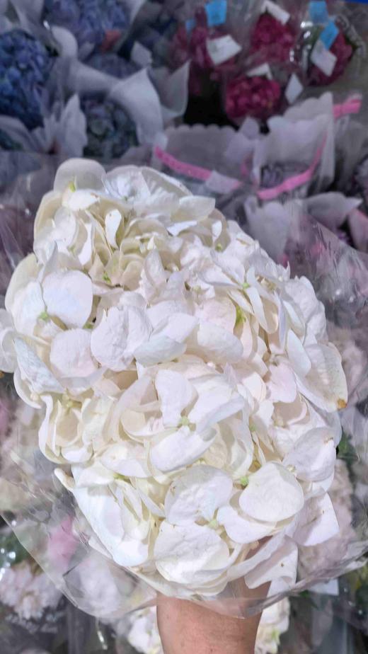 甜蜜璀璨绣球花1支 商品图2