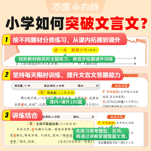 2027小白鸥星空小升初文言文186篇大全小学生必背文言文阅读训练全解全析同步教材四五六年级语文人教版小古文课外专项训练题 商品图1
