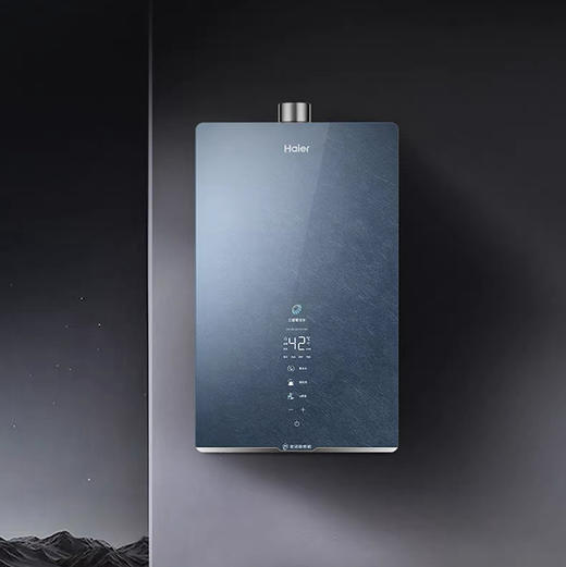 海尔（Haier）热水器 JSQ31-16FXT6FRXGU1 商品图2