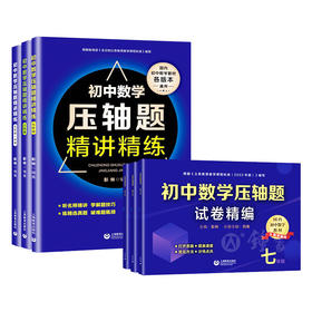 初中数学压轴题精讲精练、试卷精编七八九年级全国通用数学同步专项训练练习题刷题知识大全重难点专项训练