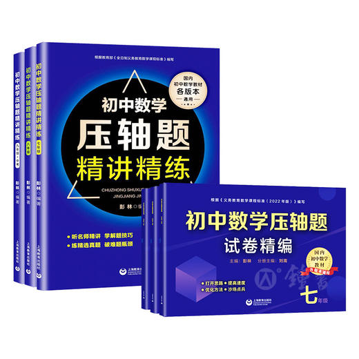 初中数学压轴题精讲精练、试卷精编七八九年级全国通用数学同步专项训练练习题刷题知识大全重难点专项训练 商品图0