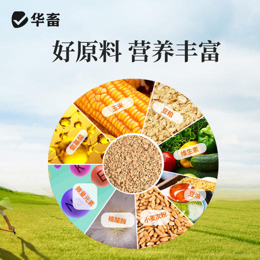 【整吨更优惠】华畜 雏鸡饲料20斤  臻选原料 营养丰富 蛋白含量高长得快 双层防潮包装 商品图2