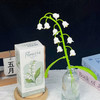 【永生积木花】单支康乃馨郁金香玫瑰盆栽DIY摆件教师情人礼物 商品缩略图1