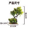 造景大师系列—唯美【绒松】 随手一放即可绽放唯美！ 商品缩略图2