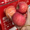 限量秒，卖完下架【洛川樱桃小苹果】咬一口直接爆汁💥每一颗都脆爽多汁！🔊 咬开的瞬间汁水在嘴里迸发，出汁率超高，根本停不下来。 商品缩略图2