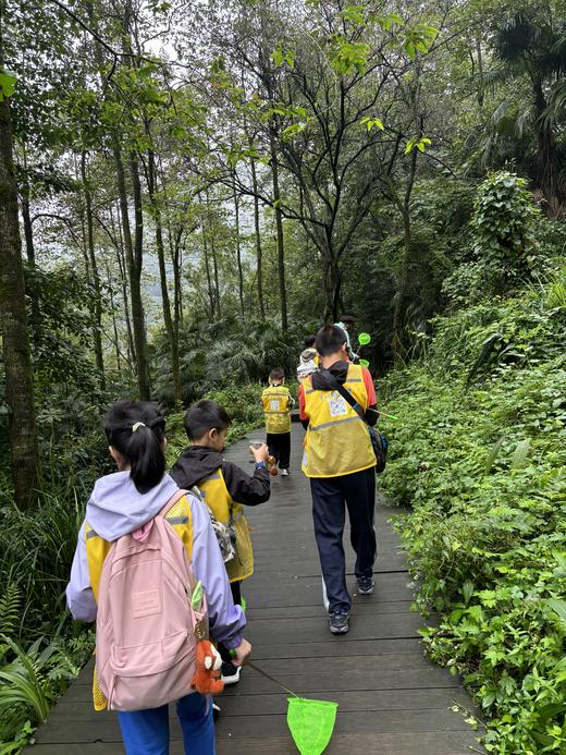 6.6/6.21/7.4【龙泉紫霞山·虫虫特工队之趣味山野昆虫寻踪半日营】龙泉山山野徒步+特工集结·虫虫小课堂+辨树寻虫·山野实操+STEAM实践·虫虫创意工坊 商品图2