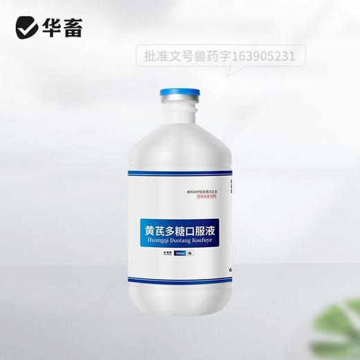 华畜兽药黄芪多糖口服液兽用抗病毒提高免疫扶正固本猪牛羊鸡鸭鹅 商品图5