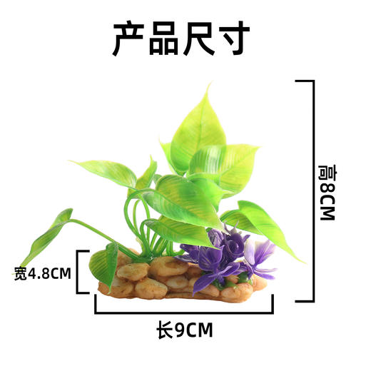 造景大师系列—唯美【紫花记】 随手一放即可绽放唯美！ 商品图2