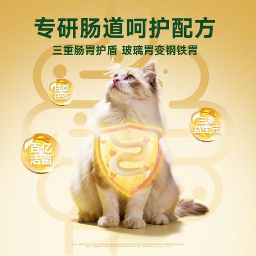 新品【牛肉羊乳鲜肉猫粮】专研肠道呵护配方 科学配比助壮益肠胃 百亿益生菌3重益生元 口口酥脆满口肉香 商品图1