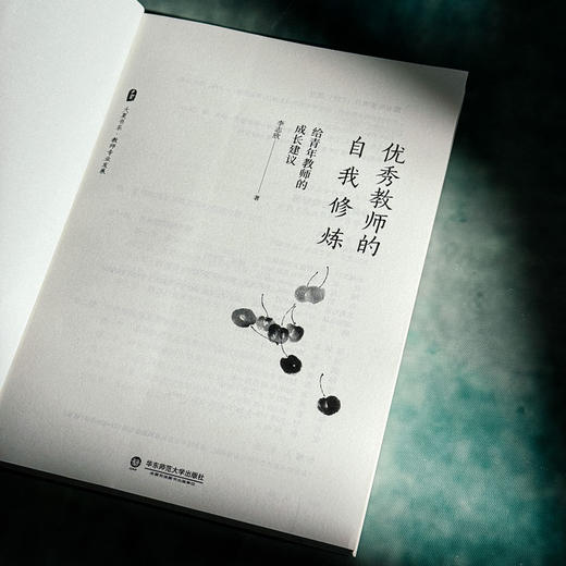 优秀教师的自我修炼 给青年教师的成长建议 大夏书系 李志欣著 商品图5