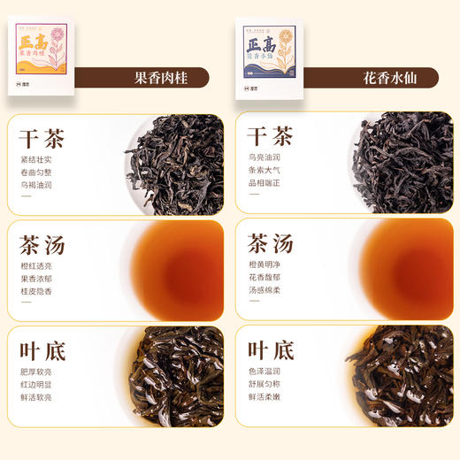 正高系列果香肉桂/花香水仙/醇香大红袍/兰香奇兰 商品图1