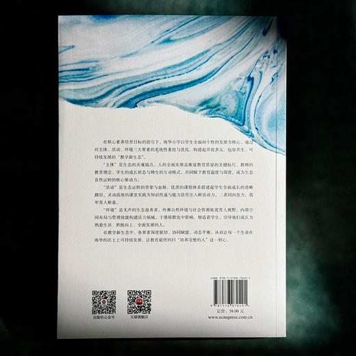 教学新生态 统整背景下海华教育实践的创新探索 陈菊 基础教育创新发展实践样本 商品图2