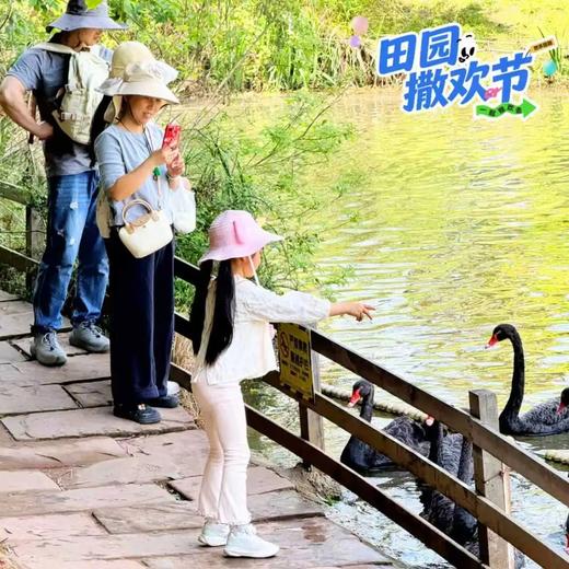 仅售3天❗️【黄龙溪欢乐田园】夏季畅玩卡99元起、整个夏天不限次畅耍戏水区…… 商品图13