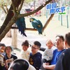 仅售3天❗️【黄龙溪欢乐田园】夏季畅玩卡99元起、整个夏天不限次畅耍戏水区…… 商品缩略图14