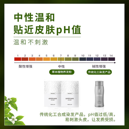 【全新升级啦】8018玻速华草本植物养发粉（黑色）   染发、护发、养发、三效合一 纯草本植物成分，让你同享健康与美！ 0525 商品图2