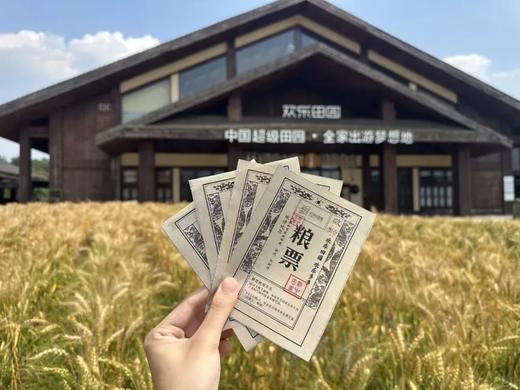 仅售3天❗️【黄龙溪欢乐田园】夏季畅玩卡99元起、整个夏天不限次畅耍戏水区…… 商品图9