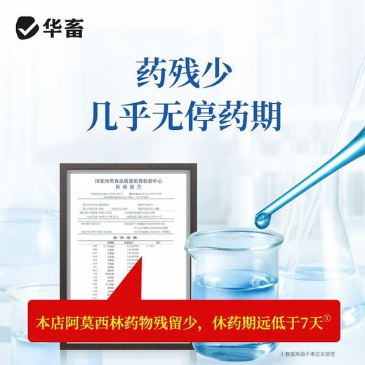 华畜兽药复方阿莫西林兽用可溶性粉克拉维酸钾国标抗菌猪用鸡鸭禽 商品图3