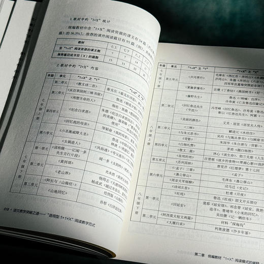 语文教学突破之道 “语用型1+1+X”阅读教学范式 大夏书系 语文之道 陈建源 初中语文教师 商品图10