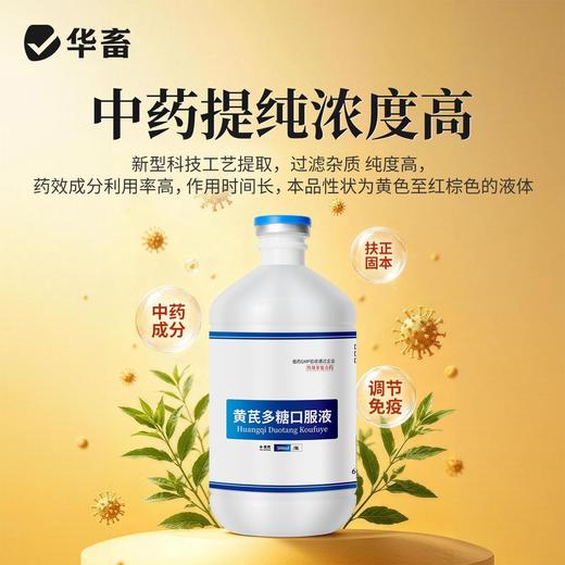 华畜兽药黄芪多糖口服液兽用抗病毒提高免疫扶正固本猪牛羊鸡鸭鹅 商品图3