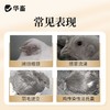 华畜兽药黄芪多糖口服液兽用抗病毒提高免疫扶正固本猪牛羊鸡鸭鹅 商品缩略图1