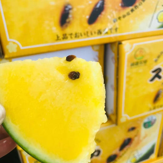 阔江小凤西瓜 商品图0