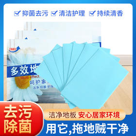 到手100片【一泡即溶❗清香祛味】多效地板清洁片清香马桶清洗片瓷砖地板清洁剂去污除垢地板清潔片。xc