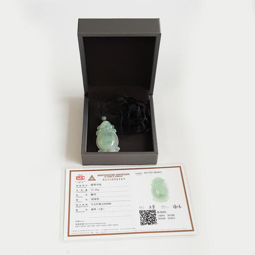 【天然正品】A货翡翠 天然细腻冰种飘花龙龟抱财（招财纳福）翡翠吊坠项链 190526XY17 商品图1