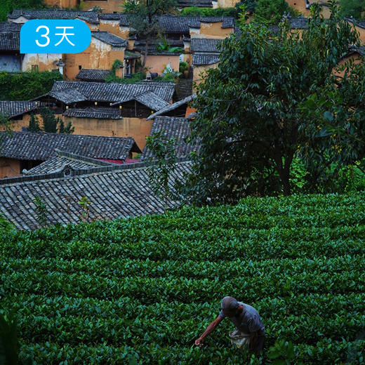 寻隐松阳古道 | 走进仍在呼吸的古村文明，重逢古典中国  12人精品小团｜3日 商品图3